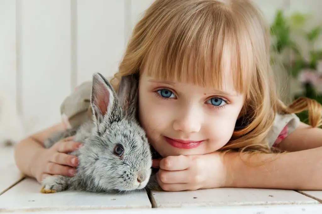 Are rabbits good pets for kids?